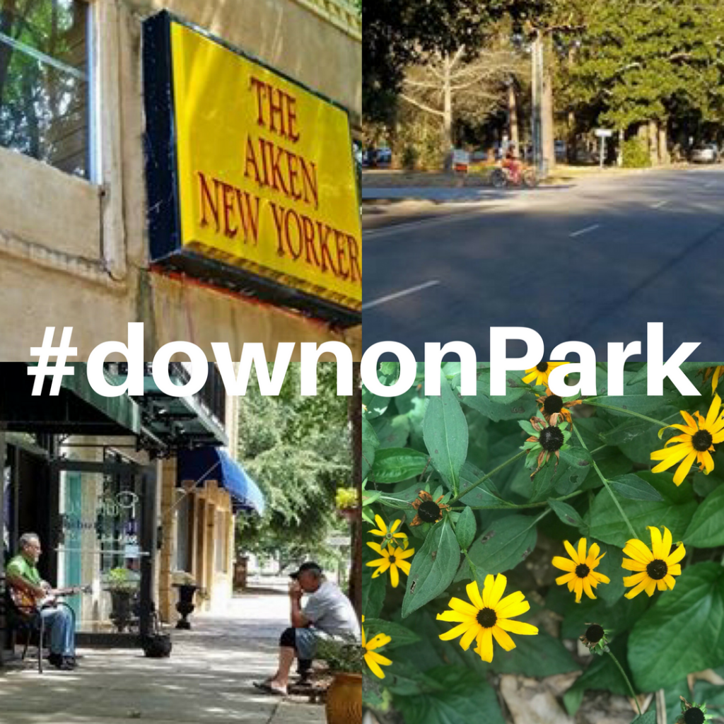 Your Backyards and Byways – #downonPark