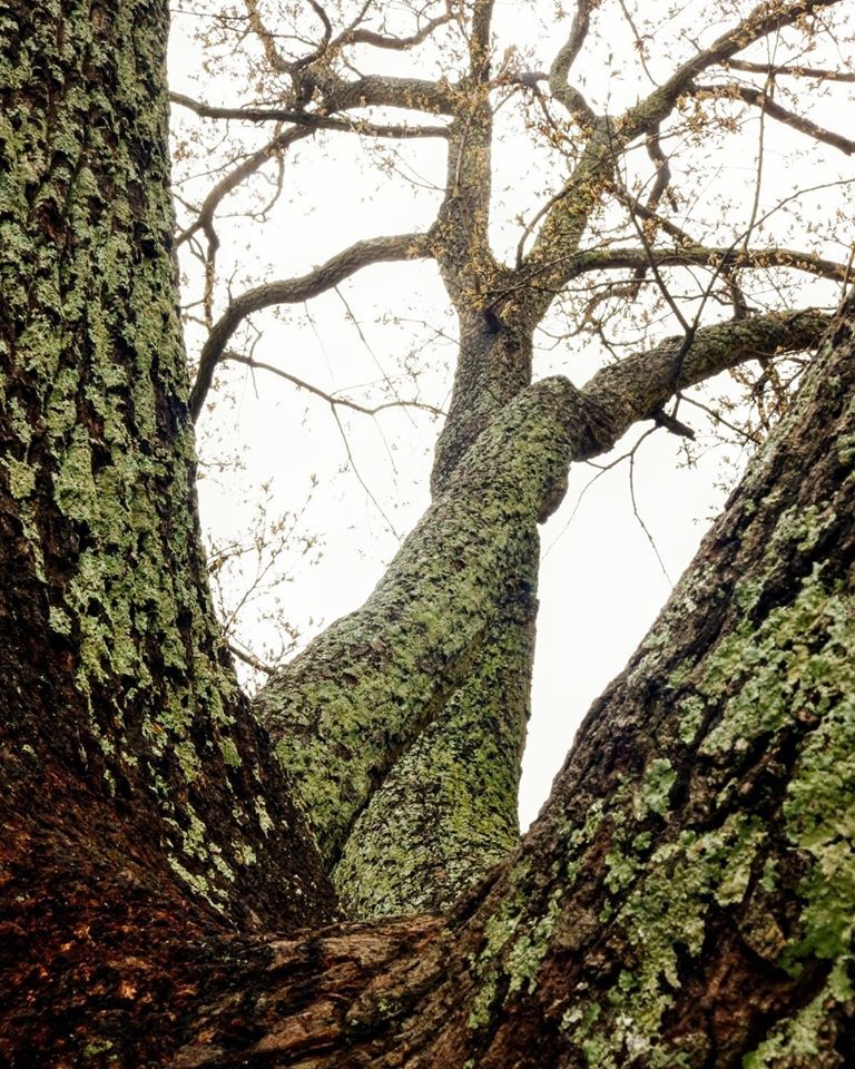 Entrepreneur of the Week- Stacy O’Sullivan & Kim Rising